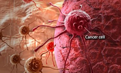 cancer-cell