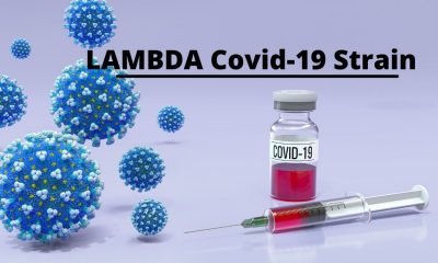 LAMBDA Covid-19 Strain