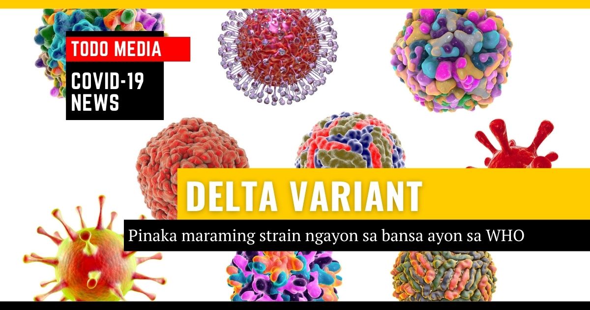 Delta variant pinaka maraming strain sa bansa