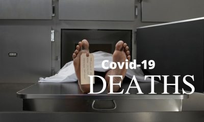 covid-19 deaths