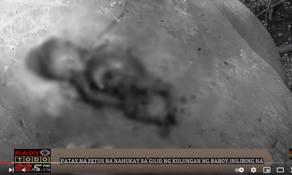 VIDEO REPORT - PATAY NA FETUS NA NAHUKAY SA GILID NG KULUNGAN NG BABOY INILIBING NA