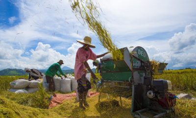 2,092 RICE FARMER SA BAYAN NG NEW WASHINGTON, MAKAKATANGGAP P5K CASH ASSISTANCE MULA SA DA