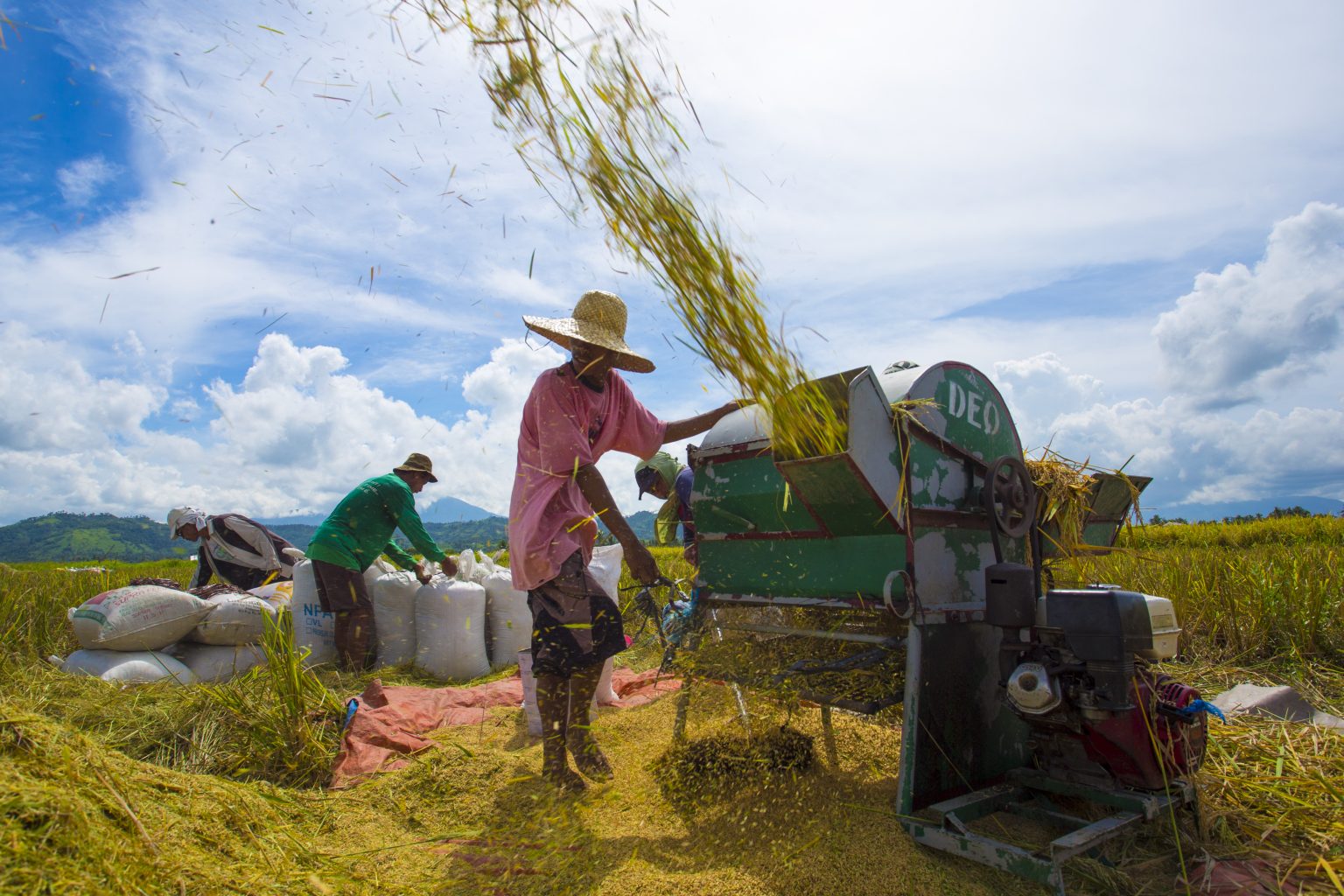 2,092 RICE FARMER SA BAYAN NG NEW WASHINGTON, MAKAKATANGGAP P5K CASH ASSISTANCE MULA SA DA