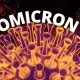 OMICRON variant