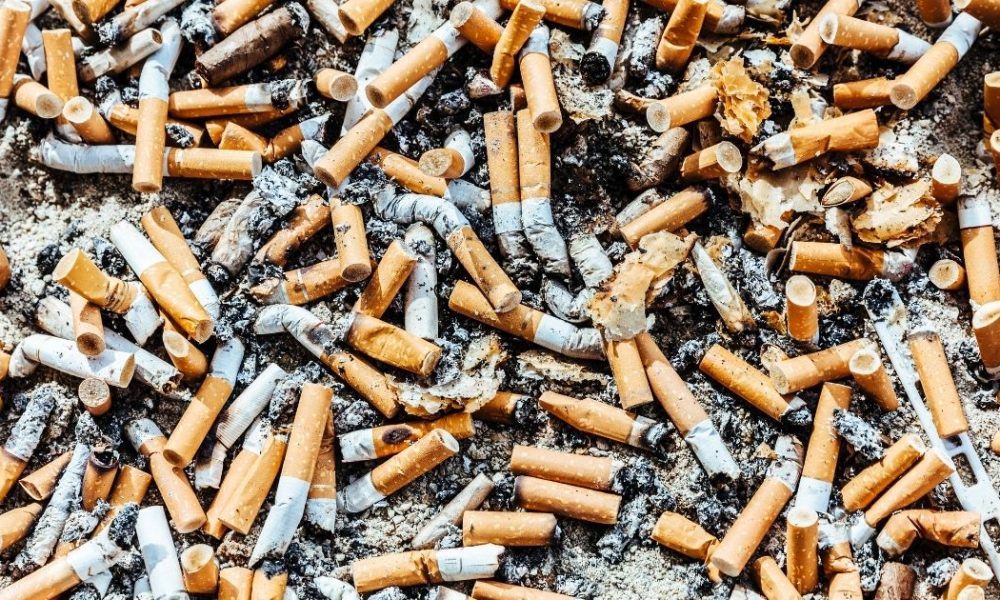 cigarette butts