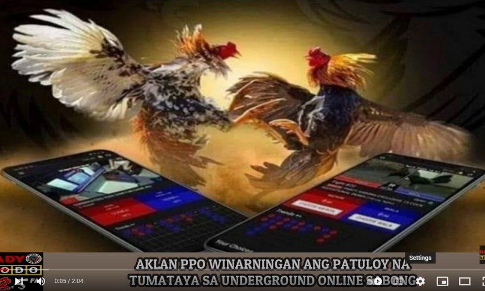 VIDEO REPORT - Aklan PPO winarningan ang patuloy na tumataya sa underground online sabong