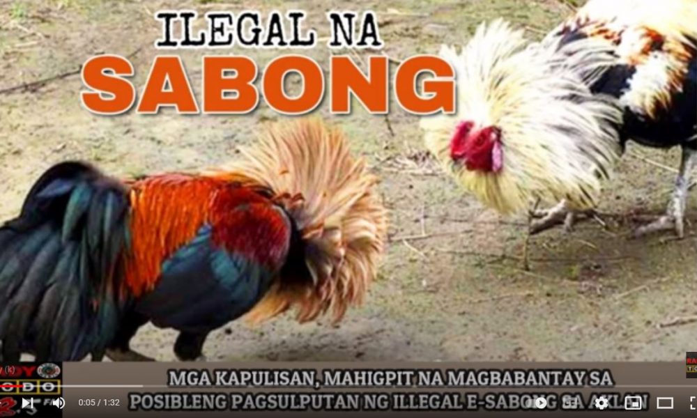 VIDEO REPORT - MGA KAPULISAN, MAHIGPIT NA MAGBABANTAY SA POSIBLENG PAGSULPUTAN NG ILLEGAL E-SABONG SA AKLAN