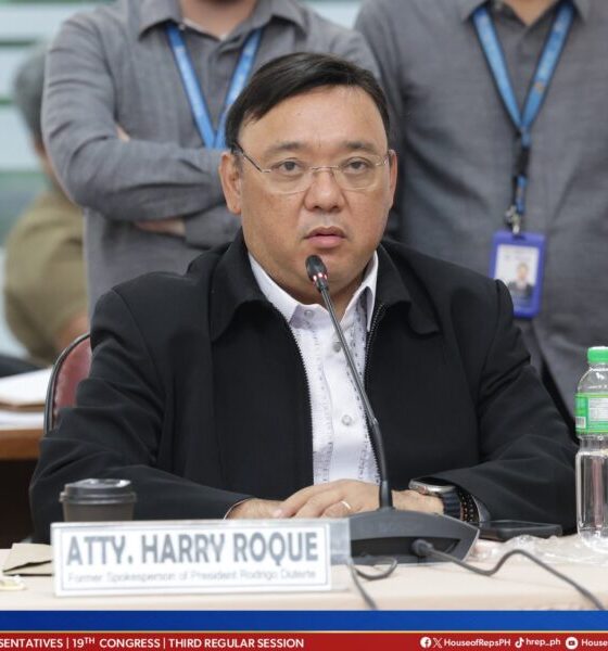 Harry Roque during the House of Representatives Quad-Committee photo