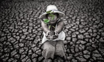 Women are sitting holding seedlings are in dry land in a warming