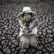 Women are sitting holding seedlings are in dry land in a warming